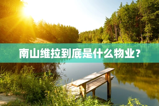 南山维拉到底是什么物业？