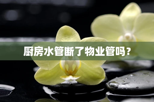 厨房水管断了物业管吗？