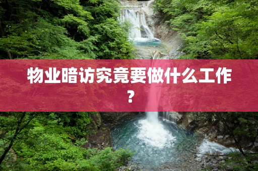 物业暗访究竟要做什么工作？