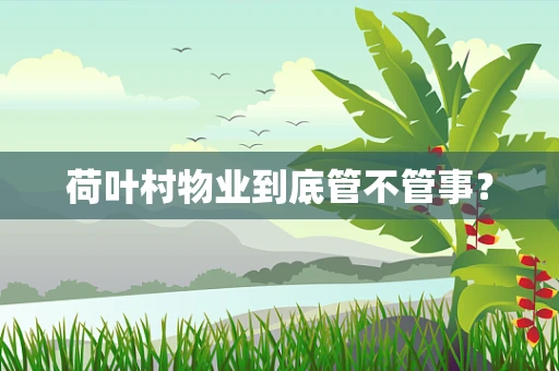 荷叶村物业到底管不管事？