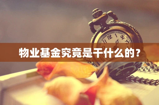 物业基金究竟是干什么的？