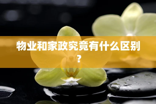 物业和家政究竟有什么区别？