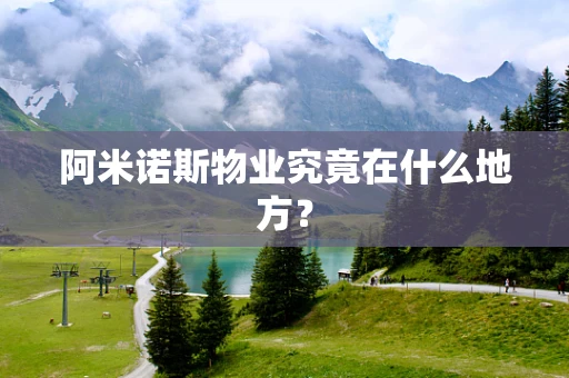 阿米诺斯物业究竟在什么地方？