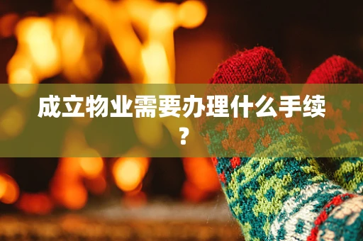 成立物业需要办理什么手续？