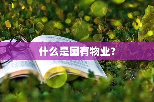 什么是国有物业？