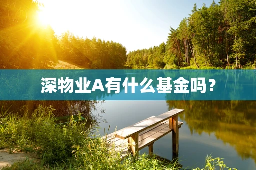 深物业A有什么基金吗？