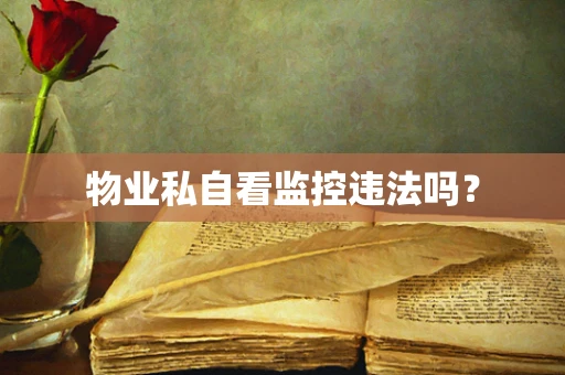 物业私自看监控违法吗？