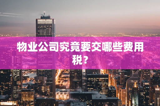 物业公司究竟要交哪些费用税？