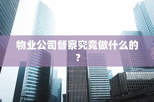 物业公司督察究竟做什么的？