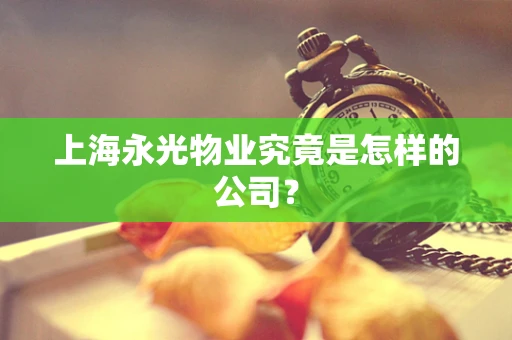 上海永光物业究竟是怎样的公司？