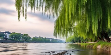 湘江水岸究竟是什么物业单位？