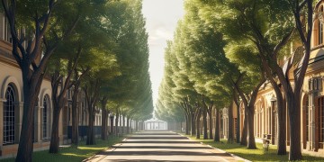 香榭里究竟是什么物业？