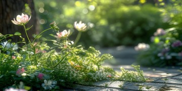 业主可以告物业吗？